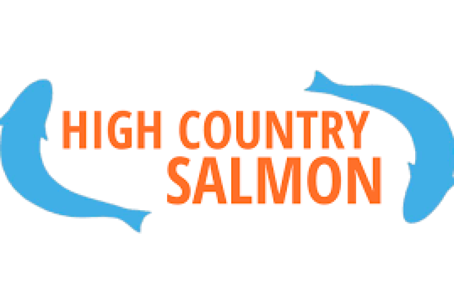 high country salmon logo