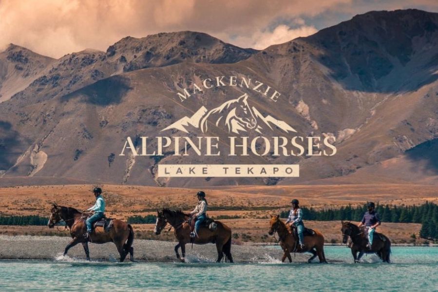 Mackenzie Alpine Horses